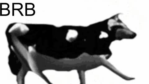 just call me Lana  and her security online show from February 6, 11:09 am