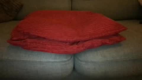 landden111 online show from December 2, 5:55 pm