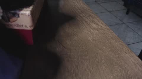 Lanna online show from November 21, 1:47 am