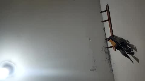 CHARLES ROBERT online show from December 20, 3:30 pm