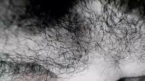 Zeus online show from February 24, 1:31 pm