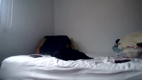 DEXTER online show from February 24, 8:58 pm