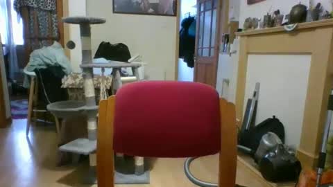 lauratedomm online show from March 8, 4:00 pm