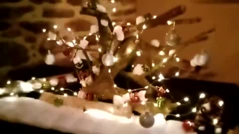 lauriehotxxx online show from December 3, 4:33 pm