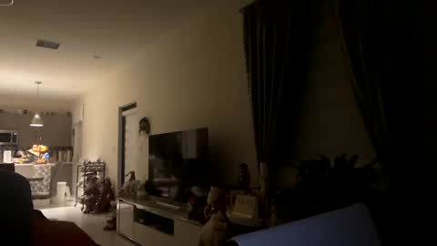 law_cambio online show from December 31, 11:31 am