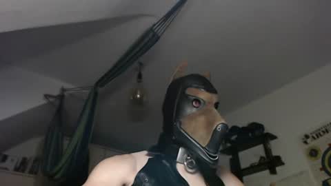 Leather Dog online show from August 4, 1:01 am