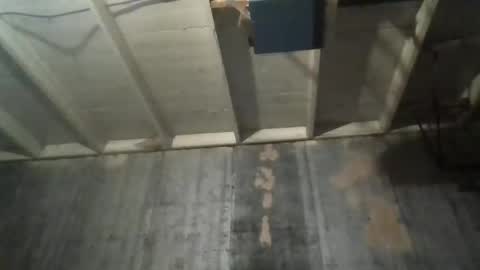 leo199984 online show from November 9, 4:49 am