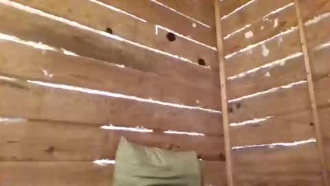 leskator9 online show from November 11, 8:49 am