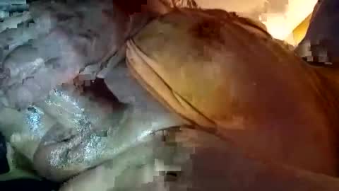 letsbate69r online show from December 1, 11:36 pm