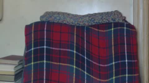 levon48 online show from December 19, 1:28 am