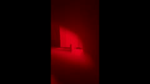 lex123570655 online show from March 14, 6:06 am