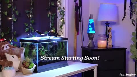 Snapshot of lex_taylor chatting on January 7, 3:46 am Lex online show from January 7, 3:46 am