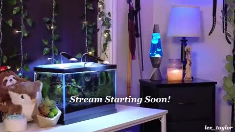 Snapshot of lex_taylor chatting on February 17, 4:06 pm Lex online show from February 17, 4:06 pm