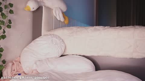 Molly  you can find Bunny here --  online show from February 12, 8:07 pm