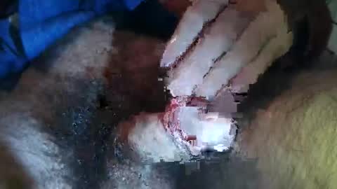 likehockey1234 online show from December 17, 4:30 am