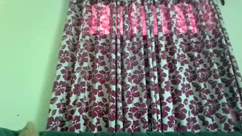 serenity online show from January 28, 7:53 am