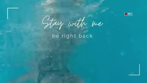 Lily online show from December 23, 7:47 am