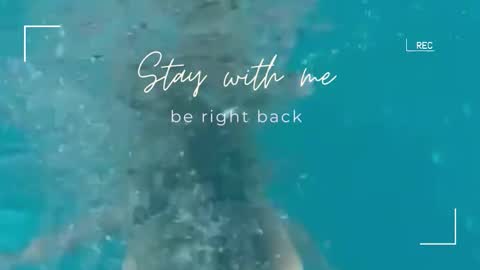 Lily online show from October 15, 5:43 am