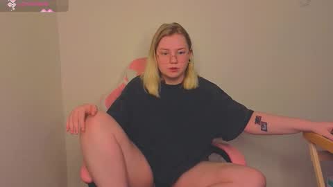 lime cat online show from November 24, 2:21 am