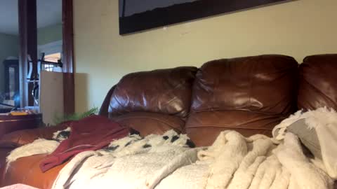 Richie Rich online show from December 6, 7:28 pm