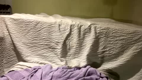 Richie Rich online show from December 11, 5:47 pm