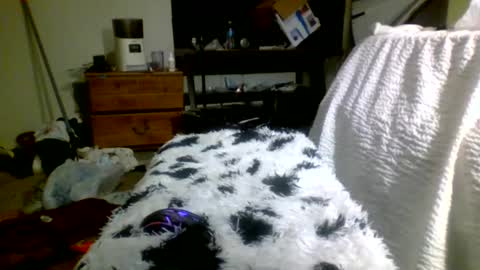 Richie Rich online show from December 30, 5:12 pm