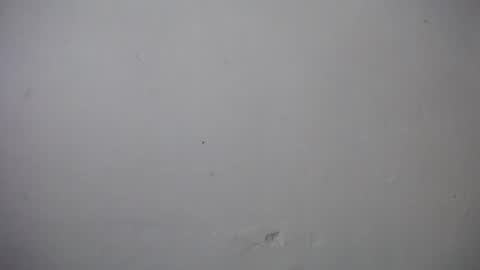 lisa_branch online show from November 24, 11:09 am