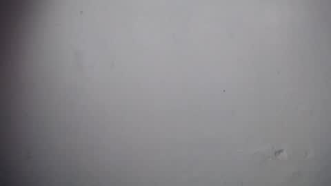 lisa_branch online show from December 19, 11:06 am