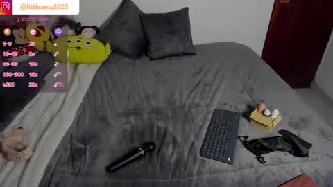 little__ammy online show from February 4, 12:47 am