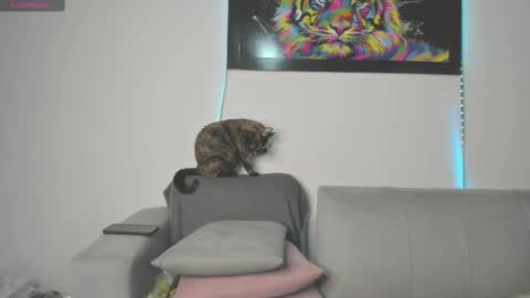 Independent model carolina online show from March 11, 9:26 pm