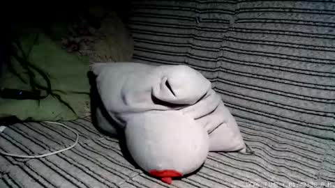 Malej Kmo online show from February 17, 12:42 am