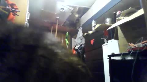 littlegrey376 online show from March 4, 7:27 am