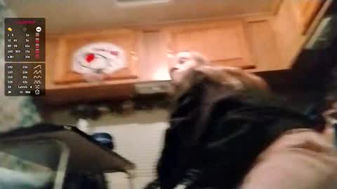 littleleo96 online show from October 18, 9:02 am