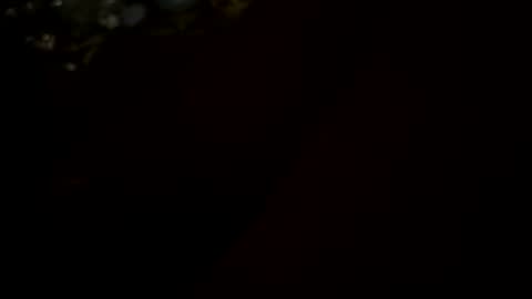 Little Tj online show from January 17, 6:23 am