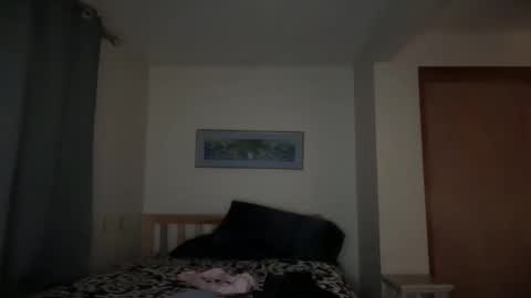 Liz Purr online show from November 3, 2:51 pm