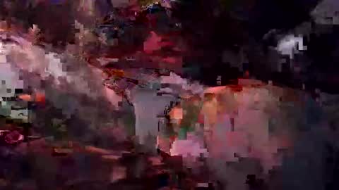 Sean online show from February 12, 8:18 am