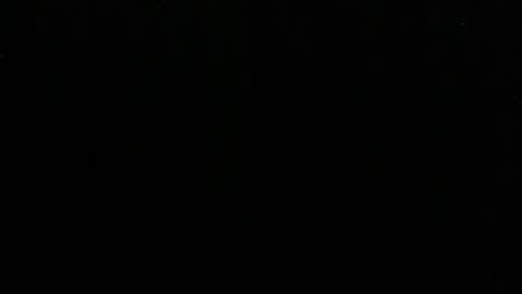 Lilly online show from March 4, 2:21 pm