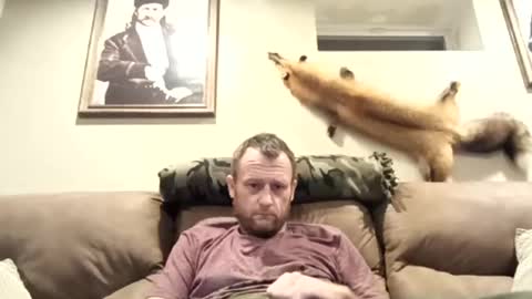 lotostepdad online show from February 1, 2:47 am