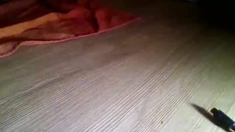 louis12288 online show from December 14, 7:31 pm