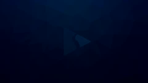   online show from November 14, 2:58 am