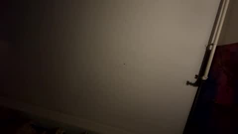 lovecumbug12 online show from February 15, 3:20 am