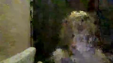 lovefuck26294864 online show from March 8, 2:10 pm