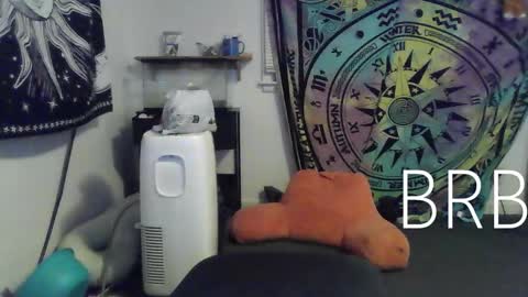 Bigtitsgirl113 online show from January 18, 12:46 am