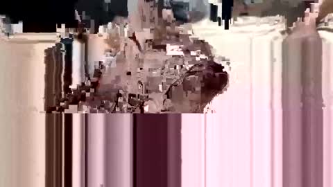 loverboy000017 online show from March 11, 1:05 am