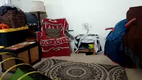 Daddys Fuck Boy online show from May 14, 7:12 pm