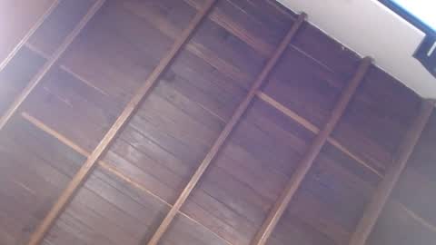 Luna online show from April 15, 6:11 pm