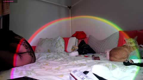 LOLA online show from January 21, 6:22 am