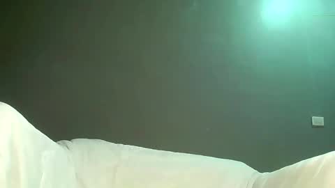 Bee Bee online show from April 17, 4:26 am