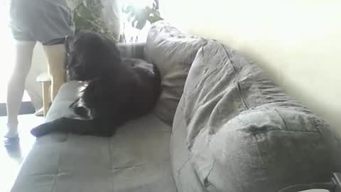 luzardol online show from March 5, 2:56 pm