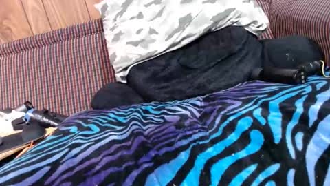 Snapshot of lyke2fuck chatting on February 6, 11:31 am Lyke2fuck online show from February 6, 11:31 am